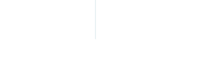 NY State Security License